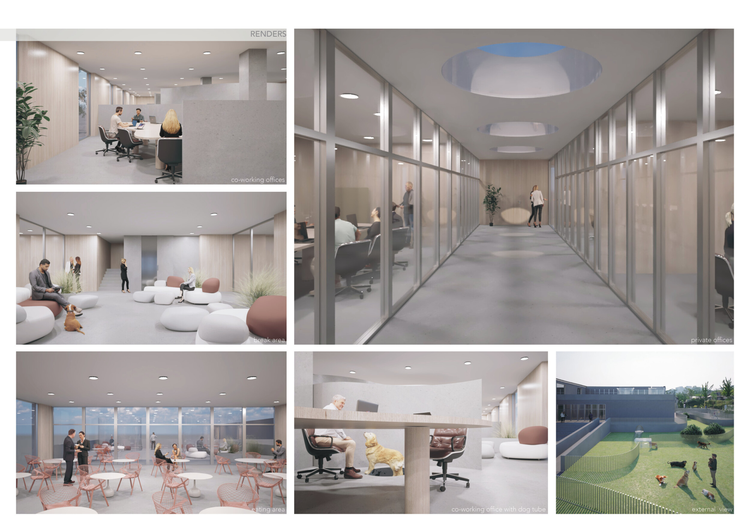 Architecture projects - dog tubes // Buildner